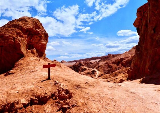 A lonesome path in moon valley, chile