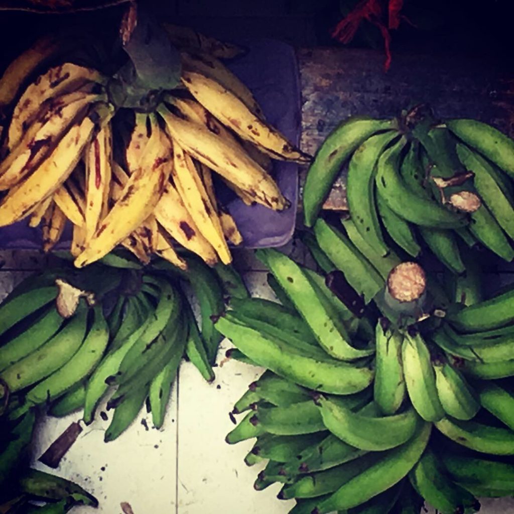 Yellow and green plantains for sale