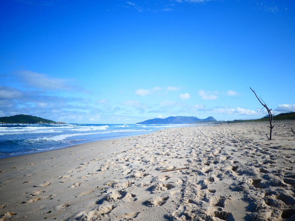 Empty beach and blue sky in Florianopolis, Brazil