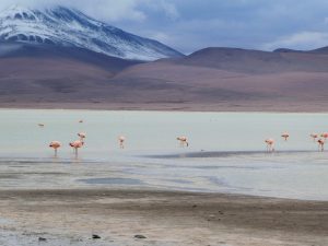 Uyuni bolivia south lipez2