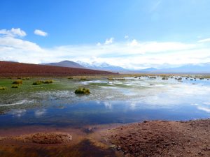 atacama chile2