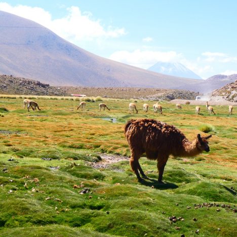 🇨🇱 The Best Way to Visit Valle de la Luna in Atacama