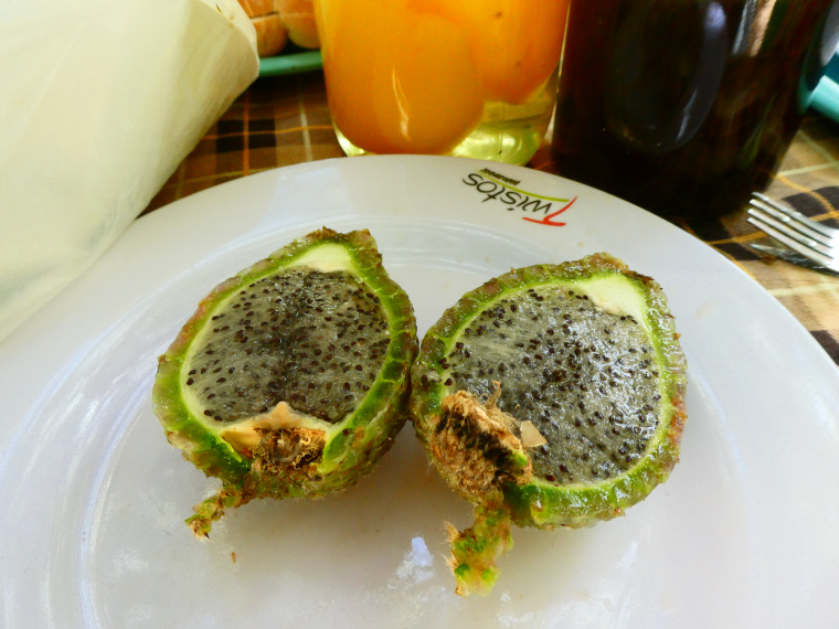 chilean food exotic fruit copao