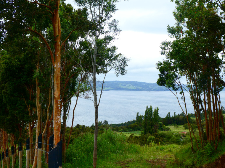 chiloe chile lemuy island