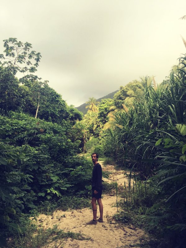 A trail in the jungle of Tayrona Park