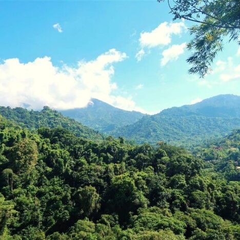 Our Eco Trip Turned Out to Be a Life-Changing Experience. We’re Telling You How.