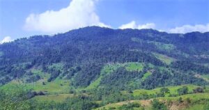 Green hills of Cutervo National Park, Peru