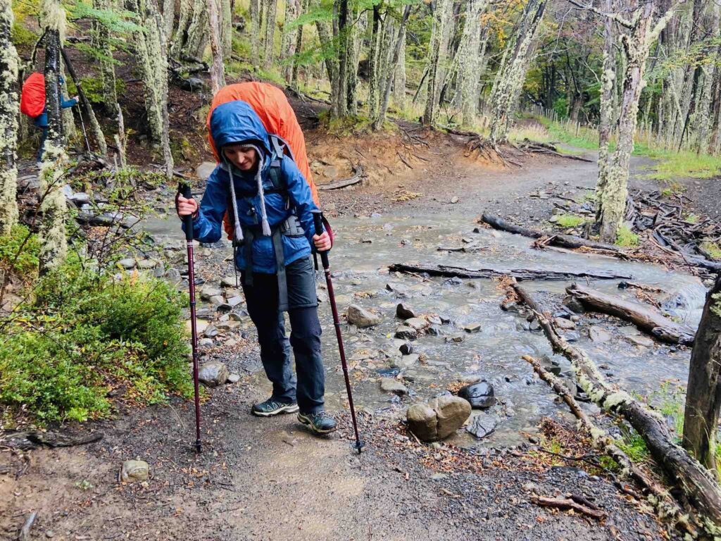 Ñirre forest Torres del Paine O circuit