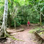 Amazon Rainforest, Tarapoto, Peru